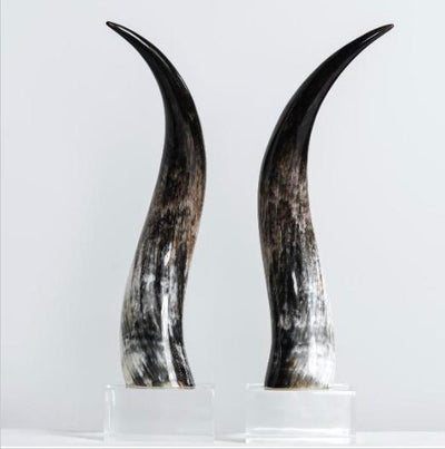 Kabaka Horns