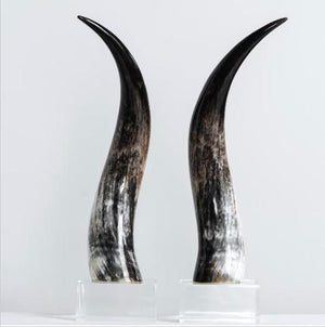 Kabaka Horns