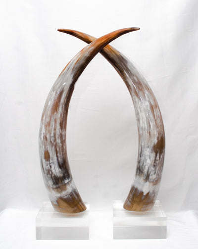 Kabaka Horn - #31 - SOLD